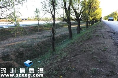山西朔州市毛皂村，一名綁匪被擊斃在這棵小樹(shù)旁。