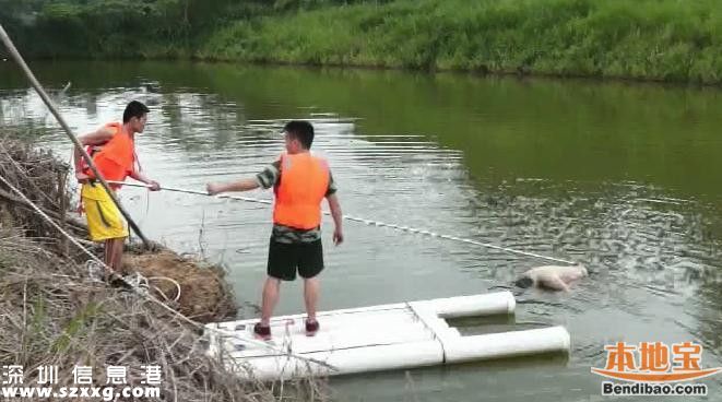 石巖釣魚場旁池塘驚現浮尸 上身半裸胳膊有淤青