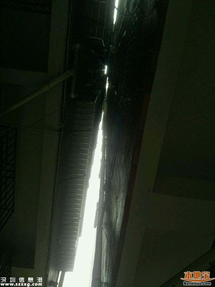 龍華兩棟樓間距僅半米 官方稱沒有及時(shí)倒塌危險(xiǎn)
