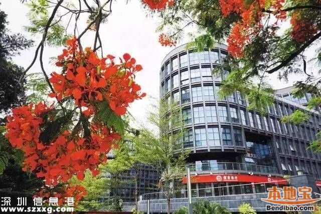 南山十三五規(guī)劃綱要發(fā)布 梳理南山發(fā)展十大亮點(diǎn)