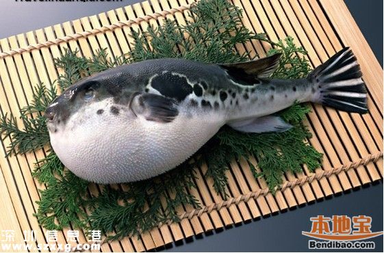 <a href=http://www.zshb029.com/shenzhen/ target=_blank class=infotextkey>深圳</a>一人食用河豚中毒身亡 什么樣的河豚是安全的？