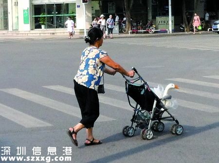 推嬰兒車(chē)被暴打