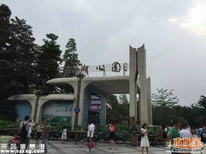 今年深圳建12個花卉主題公園 附各公園賞花時(shí)間表