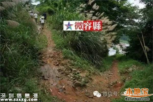21年生15個小孩 窮到自己在家剪胎盤臍帶(圖)