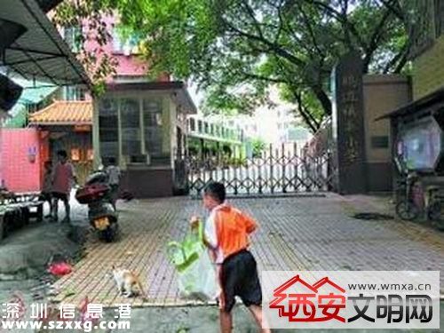 小學(xué)現(xiàn)惡臭籃球場(chǎng) 教育局回應(yīng)稱施工單位說產(chǎn)品沒問題
