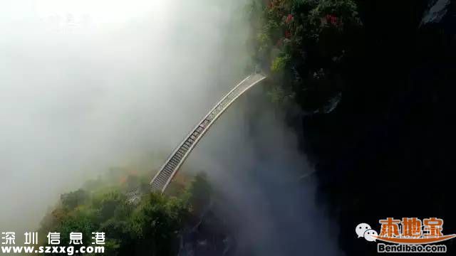 神農(nóng)架申遺成功 中國(guó)有哪些世界遺產(chǎn)項(xiàng)目？