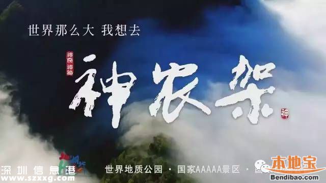 神農(nóng)架申遺成功 中國(guó)有哪些世界遺產(chǎn)項(xiàng)目？