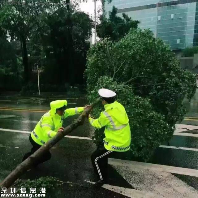 臺風妮妲在深圳的全部歷程 從出生到結(jié)尾