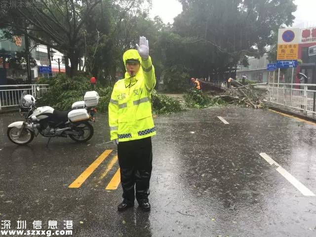 臺風妮妲在深圳的全部歷程 從出生到結(jié)尾