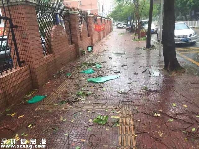 臺風妮妲在深圳的全部歷程 從出生到結(jié)尾