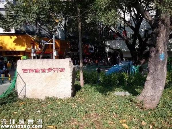臺風(fēng)中1313棵樹被摧毀 倒伏的樹木如何處置？