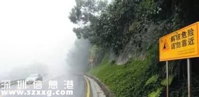 臺風(fēng)中1313棵樹被摧毀 倒伏的樹木如何處置？