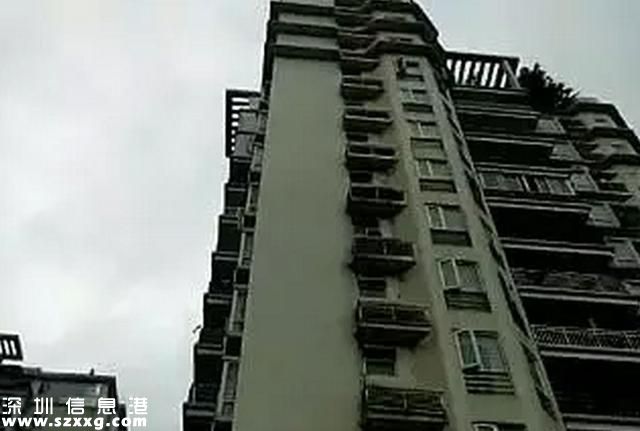 今早突發(fā)！<a href=http://www.zshb029.com/shenzhen/ target=_blank class=infotextkey>深圳</a>一男子將3歲孫子從14樓拋下后自殺