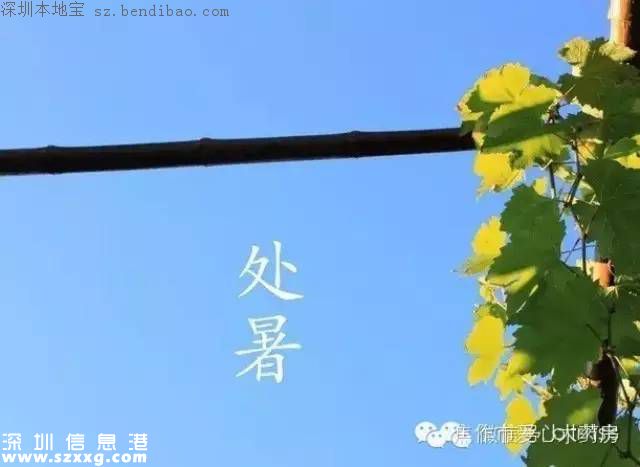 處暑是什么意思？代表什么？