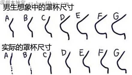全球女性胸部地圖 為啥亞洲女性胸部???