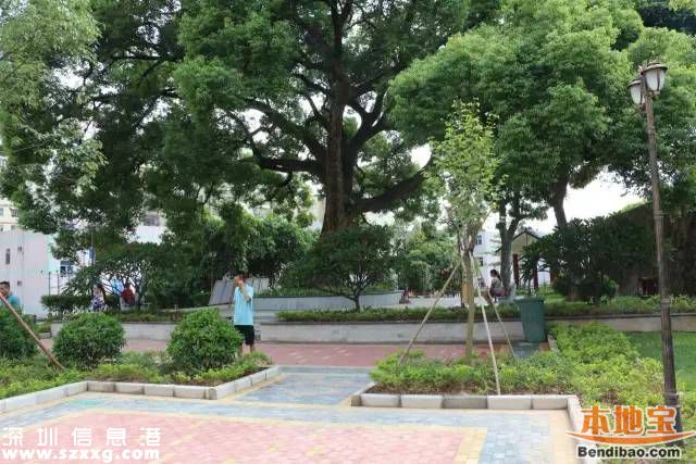 <a href=http://www.zshb029.com/shenzhen/ target=_blank class=infotextkey>深圳</a>觀湖6個(gè)街心公園開建 預(yù)計(jì)年底前可使用