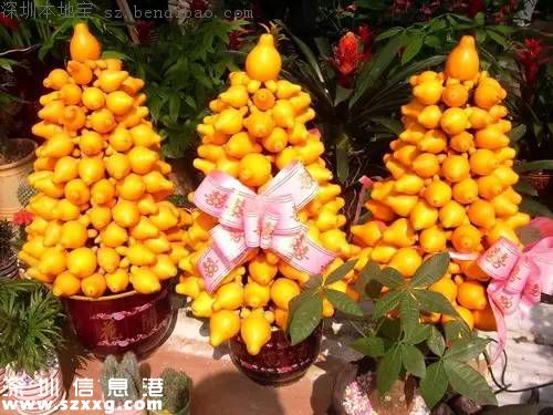 春節(jié)買什么年花？不同花有什么不同寓意？