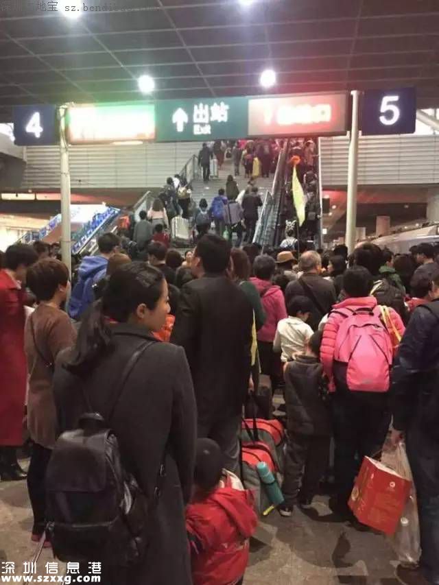 深圳新開3條夜班專線 部分公交延長運營時間