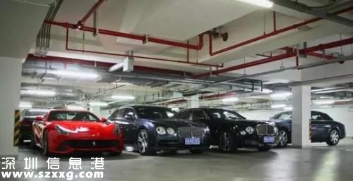 王思聰上海車庫(kù)曝光 網(wǎng)友驚呼: