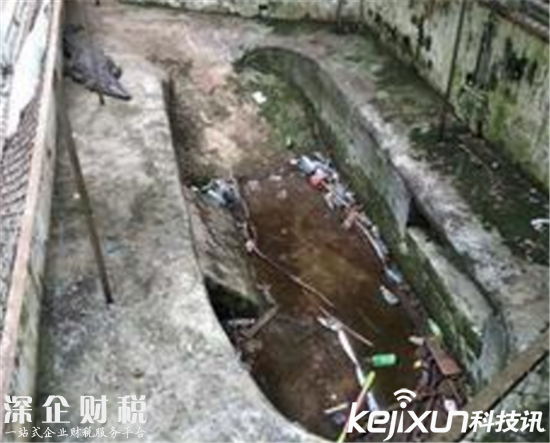 海口動物園成煉獄:滿眼全都是動物尸體 太可怕