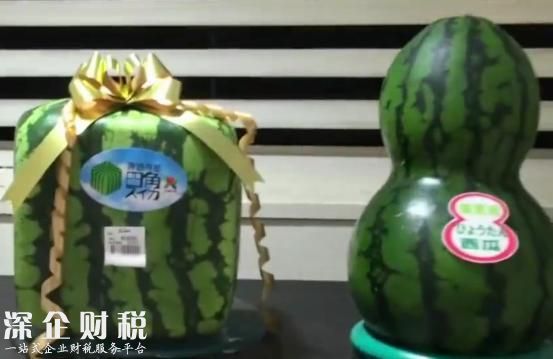 日本天價(jià)西瓜拍賣