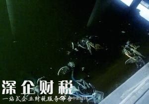 北京一河段放水浮出30余輛共享單車 車身長(zhǎng)滿綠毛