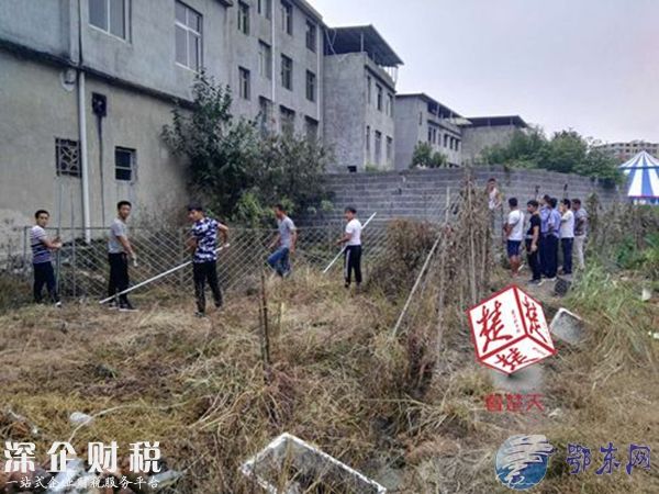 馬戲團幼虎出逃 有驚無險