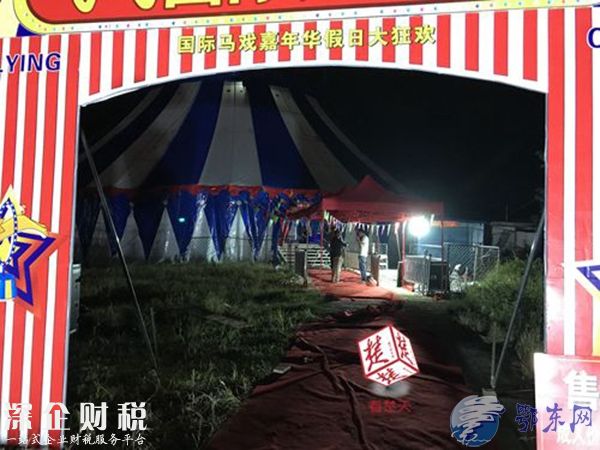 馬戲團幼虎出逃 有驚無險